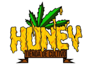 Logo HoneyTDC