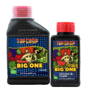 Big-One-producto