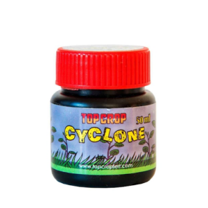 CYCLONE-producto