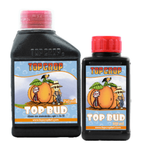 Top-Bud-producto