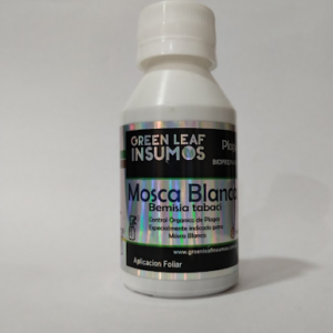 MOSCA BLANCA 100CC