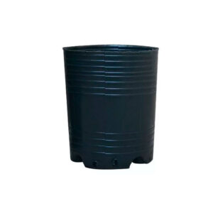 Maceta Soplada 10lts